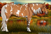 Horse Color:White Spotted Silver Buckskin 