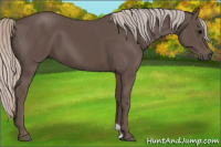 Horse Color:Silver Black 