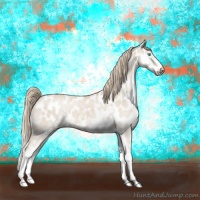 Horse Color:Smoky Creme Dun Sabino Near Leopard Rabicano 