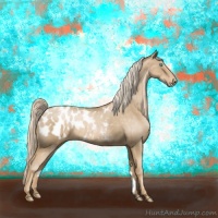 Horse Color:Chocolate Palomino Pearl Appaloosa