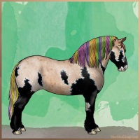 Horse Color:Painted Liver Red Dun Roan Splash