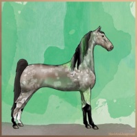 Horse Color:Liver Red Dun Ice Roan Tobiano