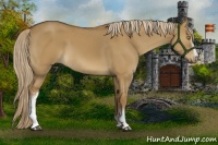 Horse Color:White Spotted Chocolate Palomino Dun 