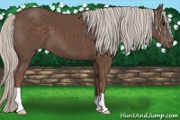 Horse Color:Silver Black 