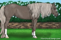 Horse Color:Silver Black 