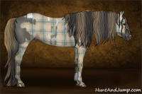 Horse Color:Grullo Tobiano  and Plaid  Smoky Grullo Frame 