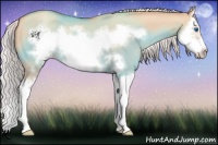 Horse Color:Silver Classic Champagne Dun Splash Frame 