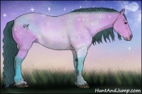 Horse Color:Watercolor Buckskin 