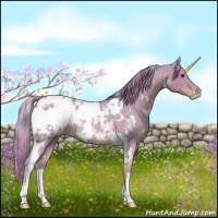 Horse Color:Watercolor White Spotted Red Roan Appaloosa 