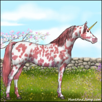 Horse Color:Watercolor White Spotted Chestnut Appaloosa 