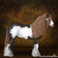Horse Color:Gray Liver Chestnut Frame
