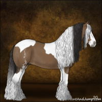 Horse Color:Gray White Spotted Liver Red Dun Splash Tobiano 