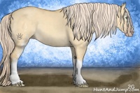 Horse Color:White Spotted Gold Cream Champagne Dun 
