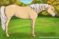 Horse Color:Silver Classic Cream Champagne Roan 