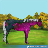 Horse Color:ERROR: UNKNOWN ANOMALY