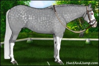Horse Color:Silver Grullo Chinchilla Splash