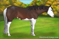 Horse Color:Brown Splash