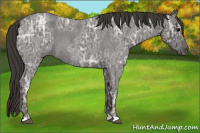 Horse Color:Smoky Blue Ice Roan