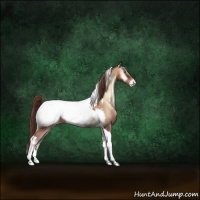 Horse Color:Brown Snowdrop Onyx Tobiano Near Fewspot