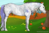 Horse Color:Nacre Watercolor White Spotted Brown Onyx Splash Rabicano 