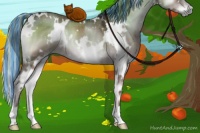 Horse Color:Painted Plaid  White Spotted Liver Red Dun Onyx 