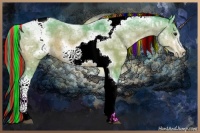 Horse Color:Painted Watercolor Bay Ice Sabino Tobiano Frame 