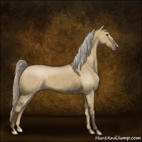 Horse Color:Chocolate Palomino Dun Appaloosa 