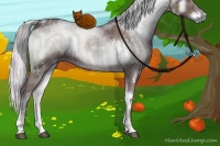 Horse Color:White Spotted Chocolate Silver Blue Onyx Chinchilla Sabino Brindle 