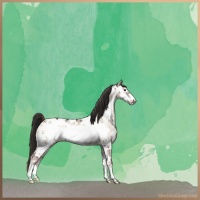 Horse Color:Liver Red Dun Roan Onyx Frame Appaloosa Brindle 