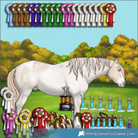 Horse Color:Perlino Appaloosa