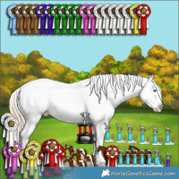 Horse Color:Perlino Appaloosa