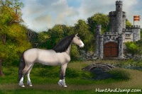 Horse Color:Brown Roan Dun Sabino Rabicano 