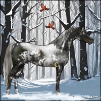 Horse Color:White Spotted Liver Chestnut Ice Mushroom