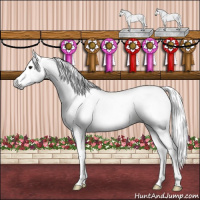 Horse Color:Gray Bay Dun Splash Tobiano Frame Blanket 