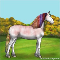 Horse Color:Painted Plaid Liver Red Dun Onyx Sabino Splash Brindle