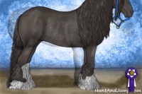 Horse Color:Smoky Black Rabicano