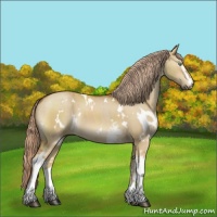 Horse Color:White Spotted Chocolate Palomino Dun Brindle