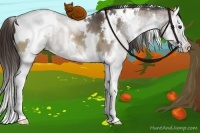 Horse Color:White Spotted Liver Red Dun Splash