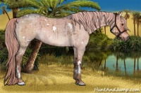 Horse Color:White Spotted Chocolate Palomino Roan Dun Brindle 