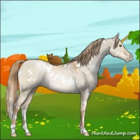 Horse Color:White Spotted Liver Red Dun Pearl 