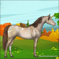 Horse Color:White Spotted Brown Pearl Dun Brindle