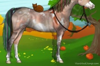 Horse Color:Painted White Spotted Brown Dun Frame 