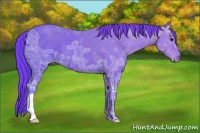 Horse Color:Watercolor Smoky Black Ice 