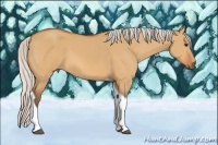 Horse Color:Silver Bay Dun Tobiano