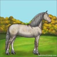 Horse Color:Liver Red Dun Sabino Rabicano