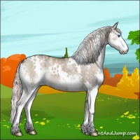 Horse Color:White Spotted Liver Red Dun Splash