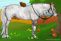 Horse Color:White Spotted Chocolate Silver Blue Onyx Chinchilla 