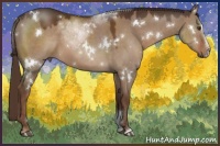Horse Color:White Spotted Liver Red Dun Sabino
