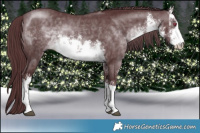 Horse Color:White Spotted Chocolate Brown Chinchilla 