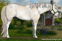 Horse Color:White Spotted Chocolate Palomino Pearl Dun Rabicano
